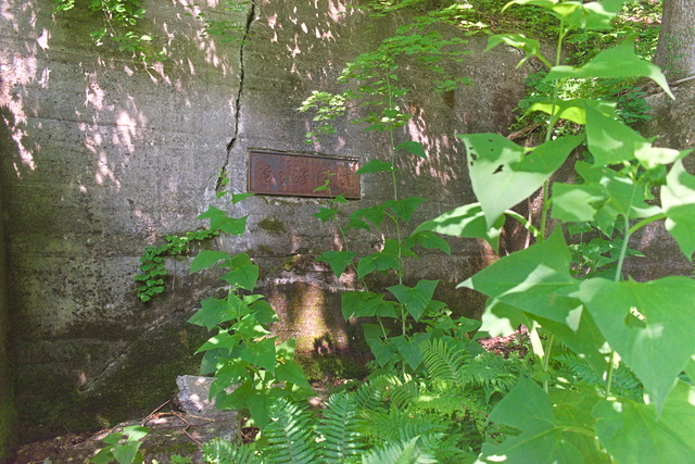 ファイル:20250625095056DSC 0005.jpg