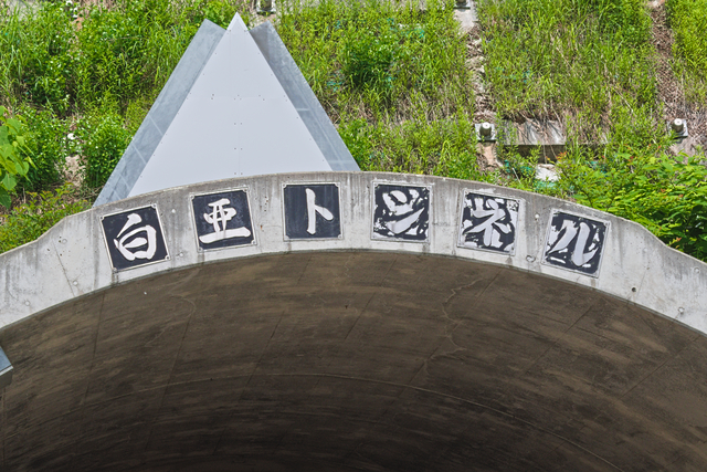 ファイル:20250625101244DSC 0036.jpg