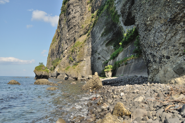 ファイル:20130819143032DSC 0217.jpg