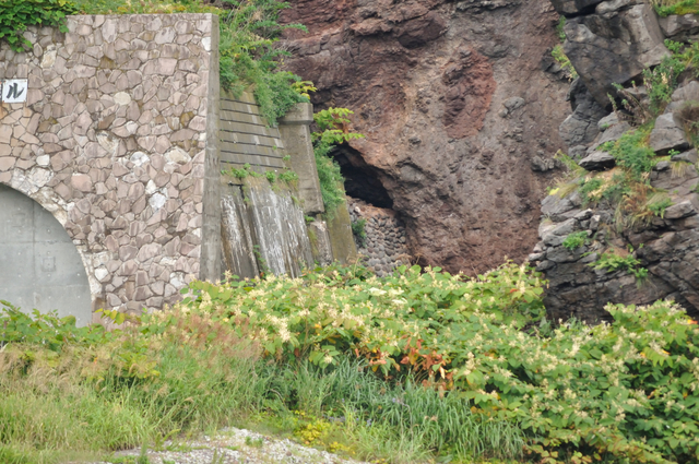 ファイル:20130823091338DSC 0119.jpg