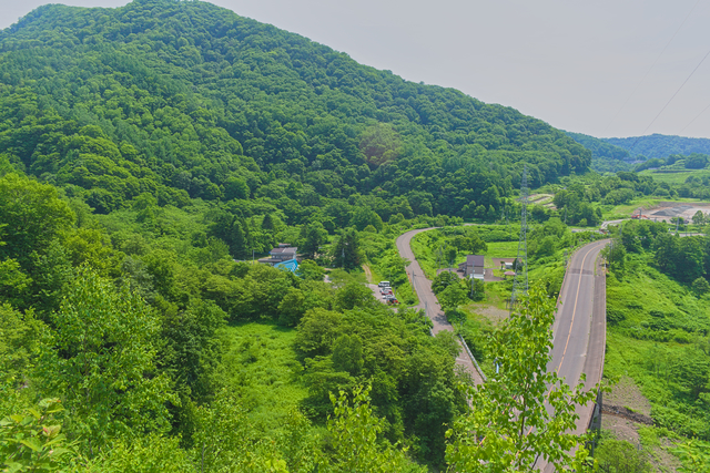 ファイル:20250625092720DSC 0002.jpg