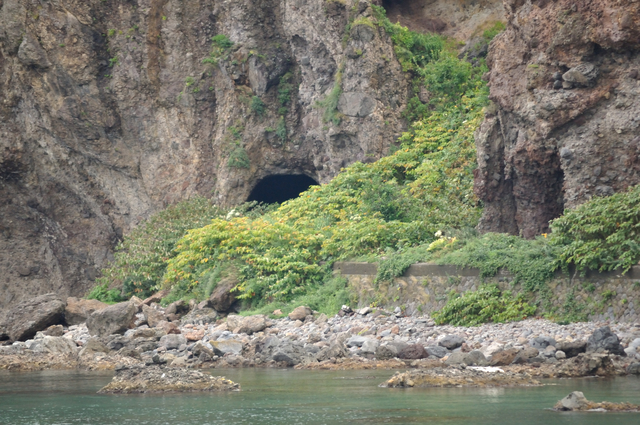 ファイル:20130823095020DSC 0173.jpg