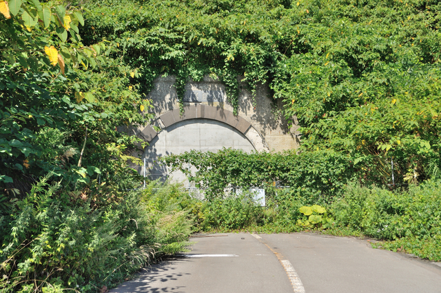 ファイル:20130821095344DSC 0958.jpg