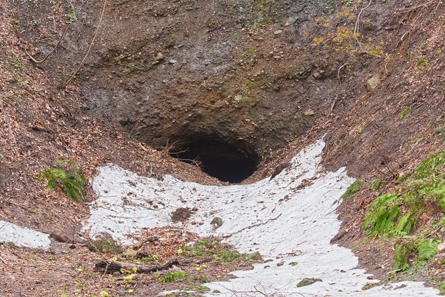 ファイル:20250421114842DSC 0051.jpg