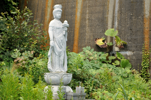 ファイル:20130819105758DSC 0021.jpg