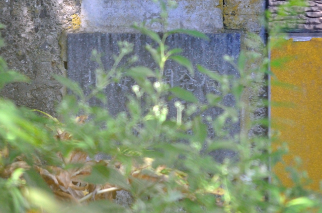 ファイル:20130821095536DSC 0964.jpg