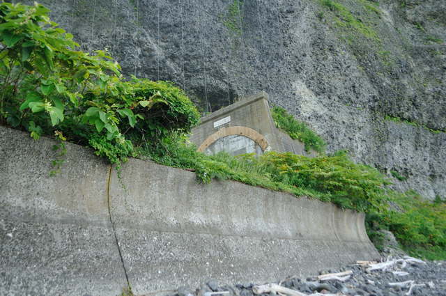 ファイル:20130819143822DSC 0237.jpg