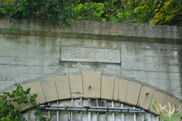 ファイル:20130819105242DSC 0007.jpg