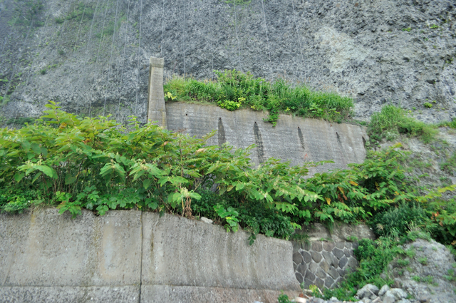 ファイル:20130819143848DSC 0238.jpg