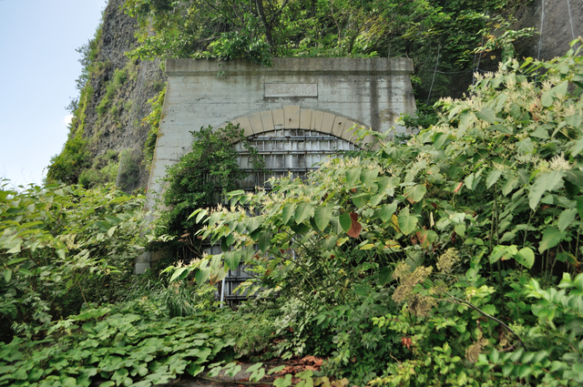 ファイル:20130819105230DSC 0005.jpg