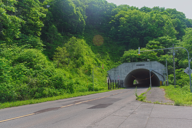 ファイル:20250625101704DSC 0043.jpg