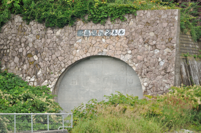 ファイル:20130823091342DSC 0120.jpg