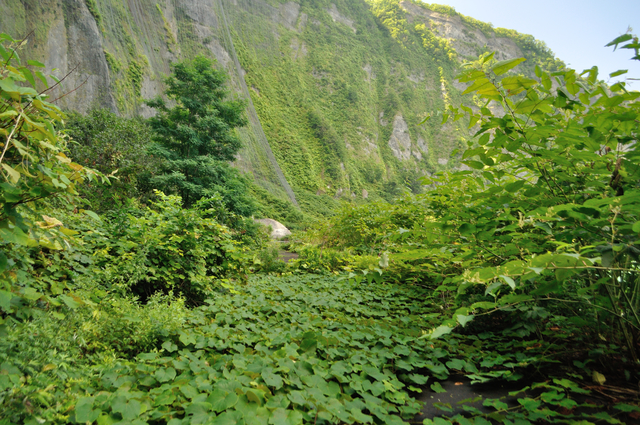 ファイル:20130819105336DSC 0010.jpg