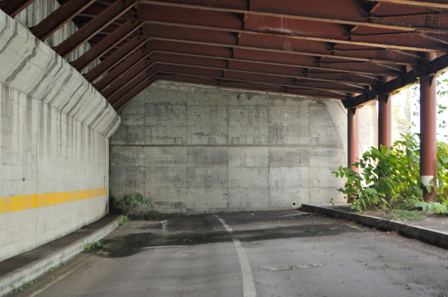 ファイル:20130819112434DSC 0079.jpg