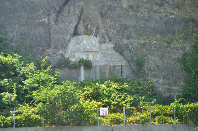 ファイル:20130820124104DSC 0567.jpg