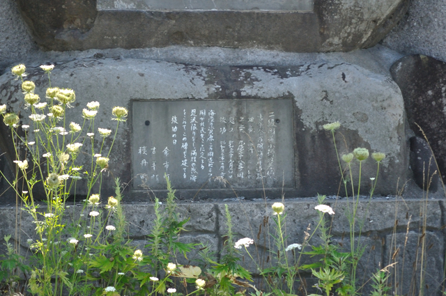 ファイル:20130820130728DSC 0598.jpg