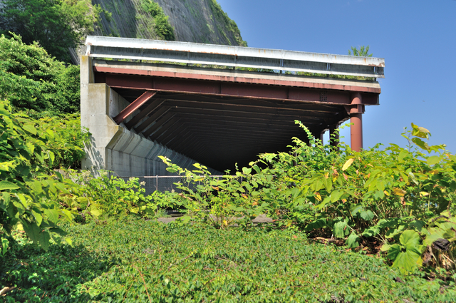 ファイル:20130819111842DSC 0064.jpg