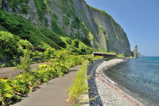 ファイル:20130819111504DSC 0053.jpg