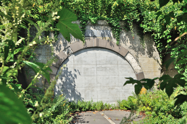 ファイル:20130821095608DSC 0965.jpg