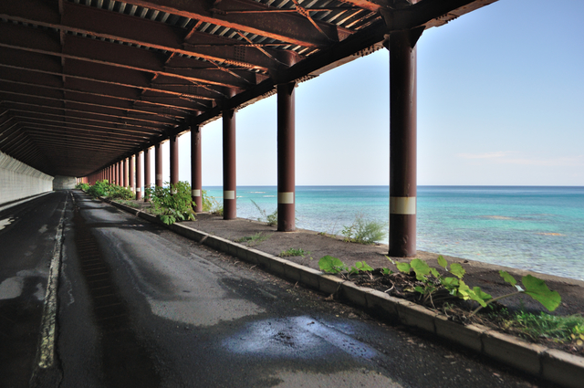 ファイル:20130819112050DSC 0071.jpg