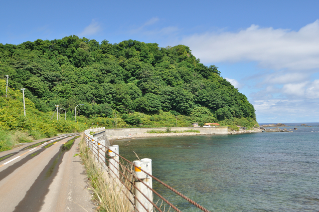 ファイル:20130821095140DSC 0955.jpg