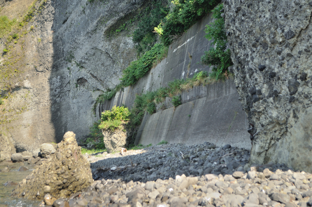 ファイル:20130819143030DSC 0216.jpg