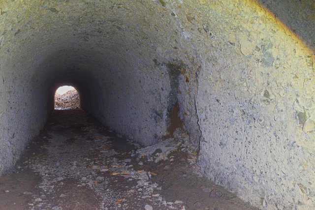 ファイル:20250421114558DSC 0042.jpg