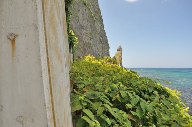 ファイル:20130819112554DSC 0084.jpg