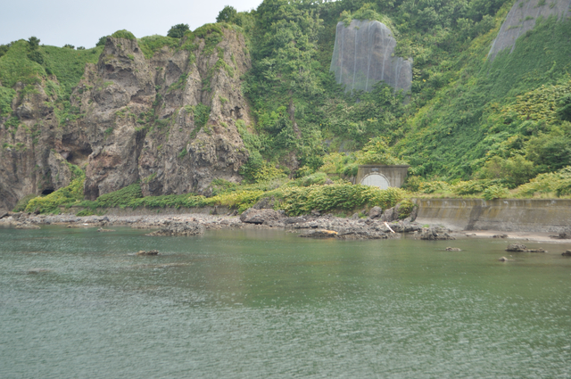 ファイル:20130823094906DSC 0165.jpg