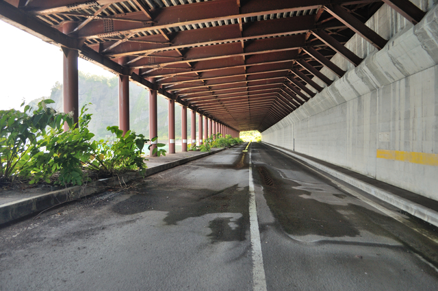 ファイル:20130819112442DSC 0081.jpg