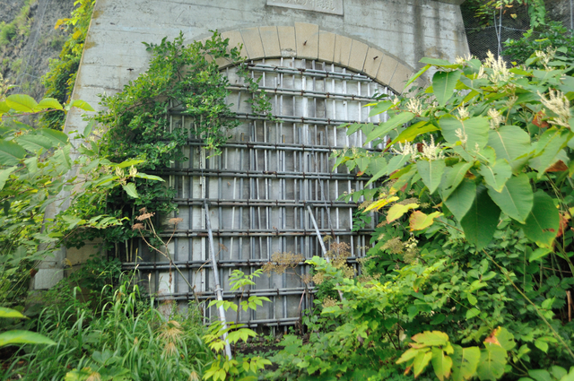 ファイル:20130819105248DSC 0008.jpg