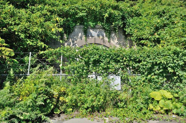 ファイル:20130821095414DSC 0960.jpg