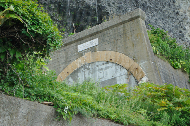 ファイル:20130819143820DSC 0236.jpg