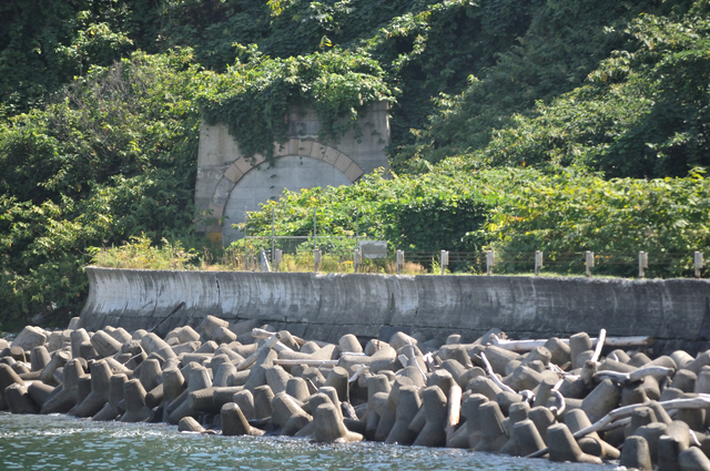 ファイル:20130821093830DSC 0929.jpg