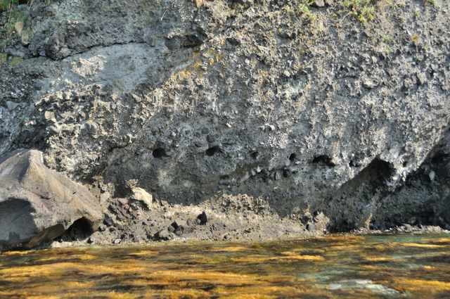 ファイル:20130819142402DSC 0198.jpg