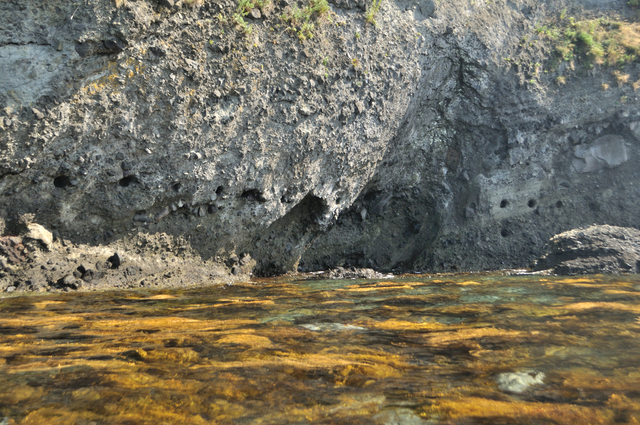 ファイル:20130819142358DSC 0196.jpg