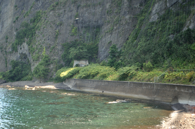 ファイル:20130819113544DSC 0098.jpg