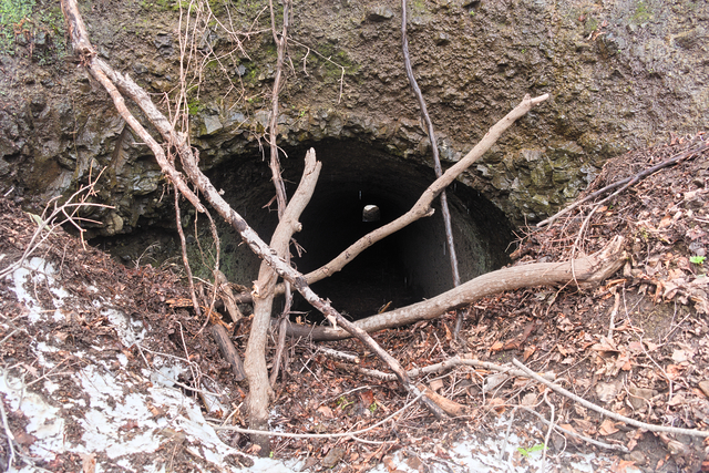 ファイル:20250421114344DSC 0034.jpg