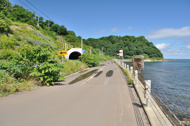 ファイル:20130821094808DSC 0948.jpg