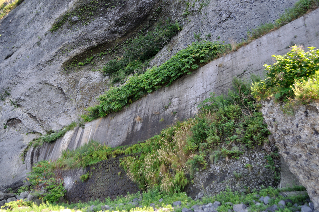 ファイル:20130819142806DSC 0211.jpg