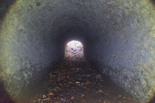 ファイル:20250421115656DSC 0061.jpg