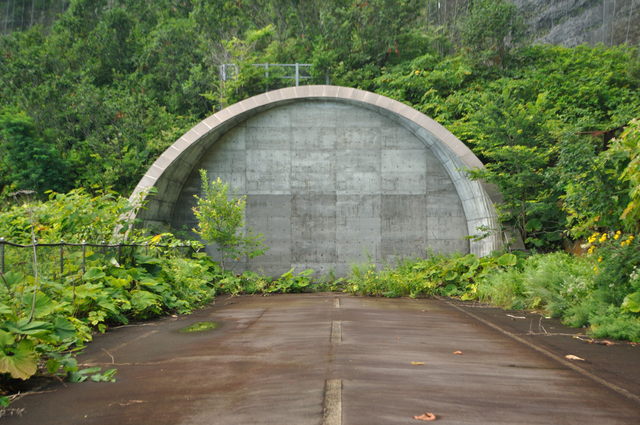 ファイル:20130819110052DSC 0026.jpg